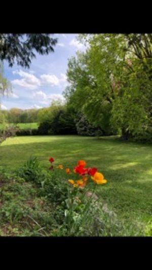 image de bien
