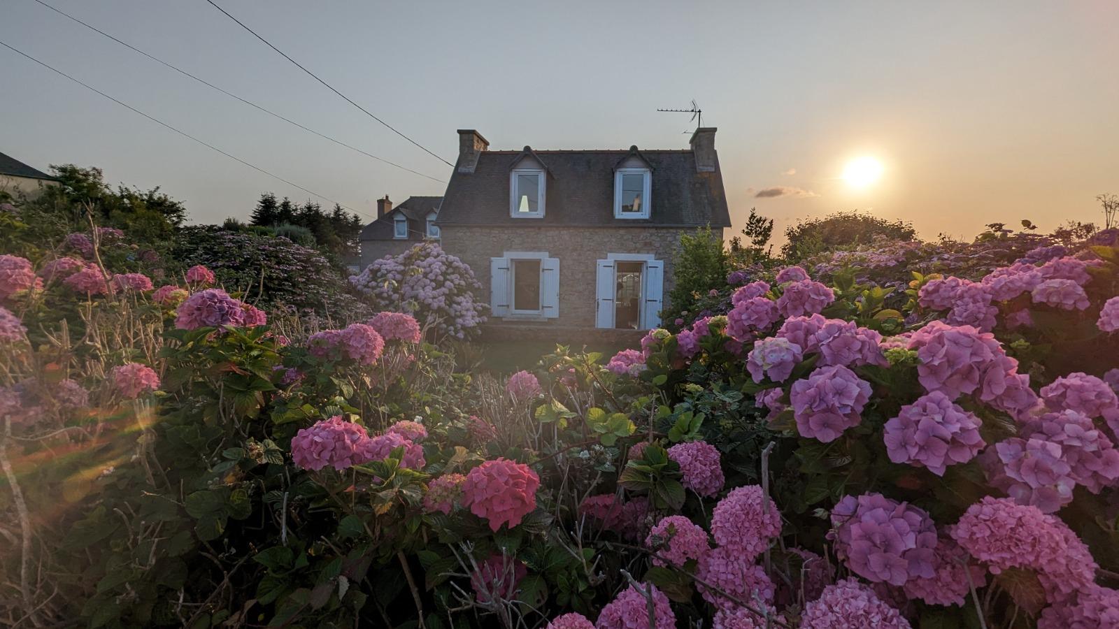 image de bien