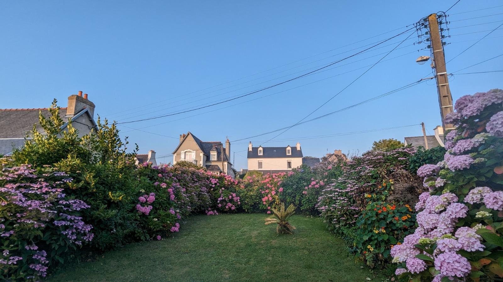 image de bien