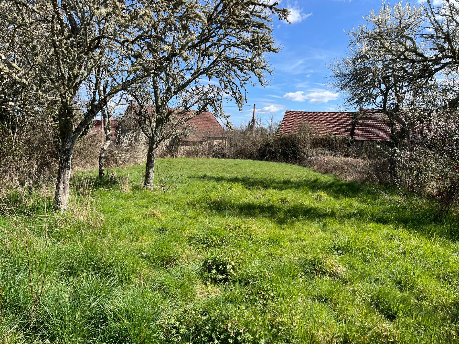 image de bien