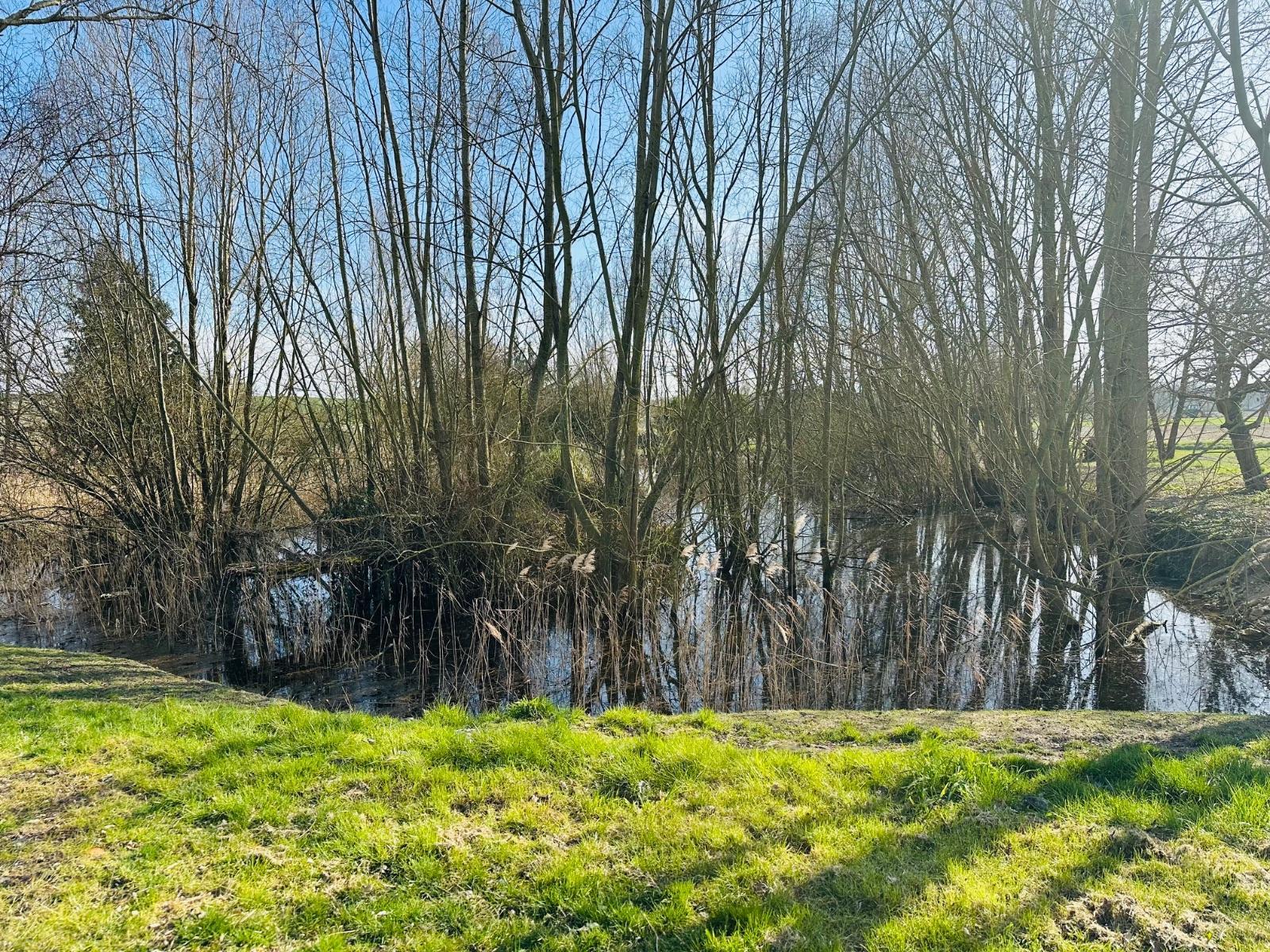 image de bien
