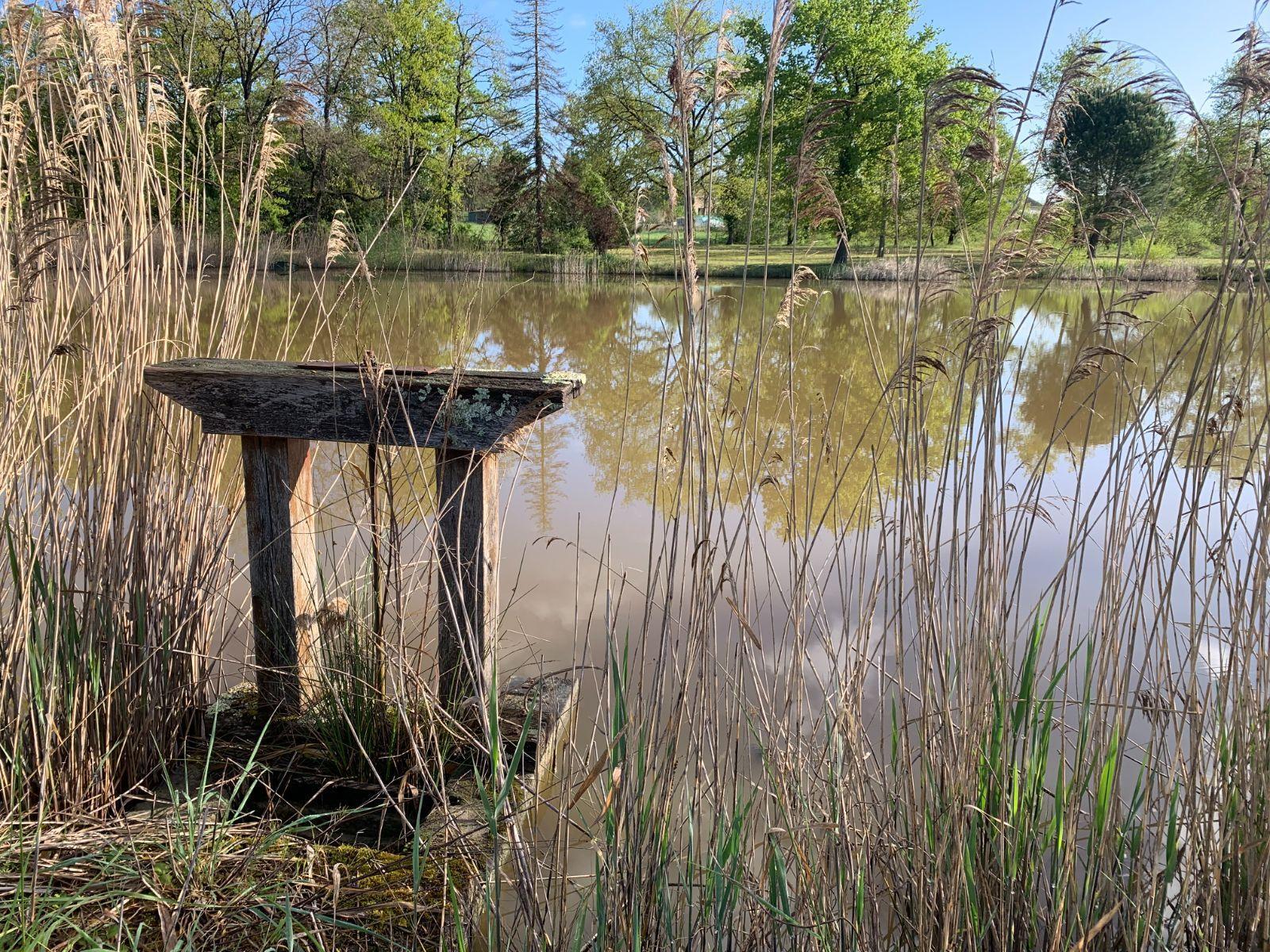 image de bien