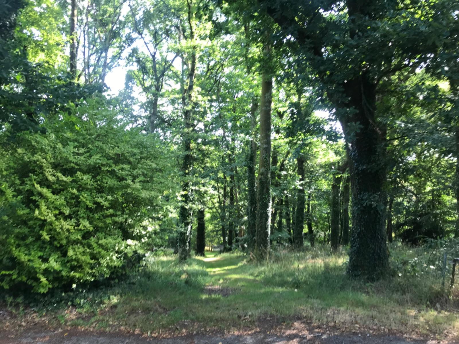 image de bien