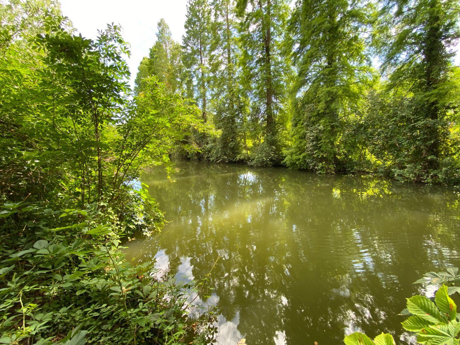 image de bien