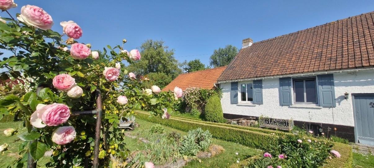 Réf.:H02231