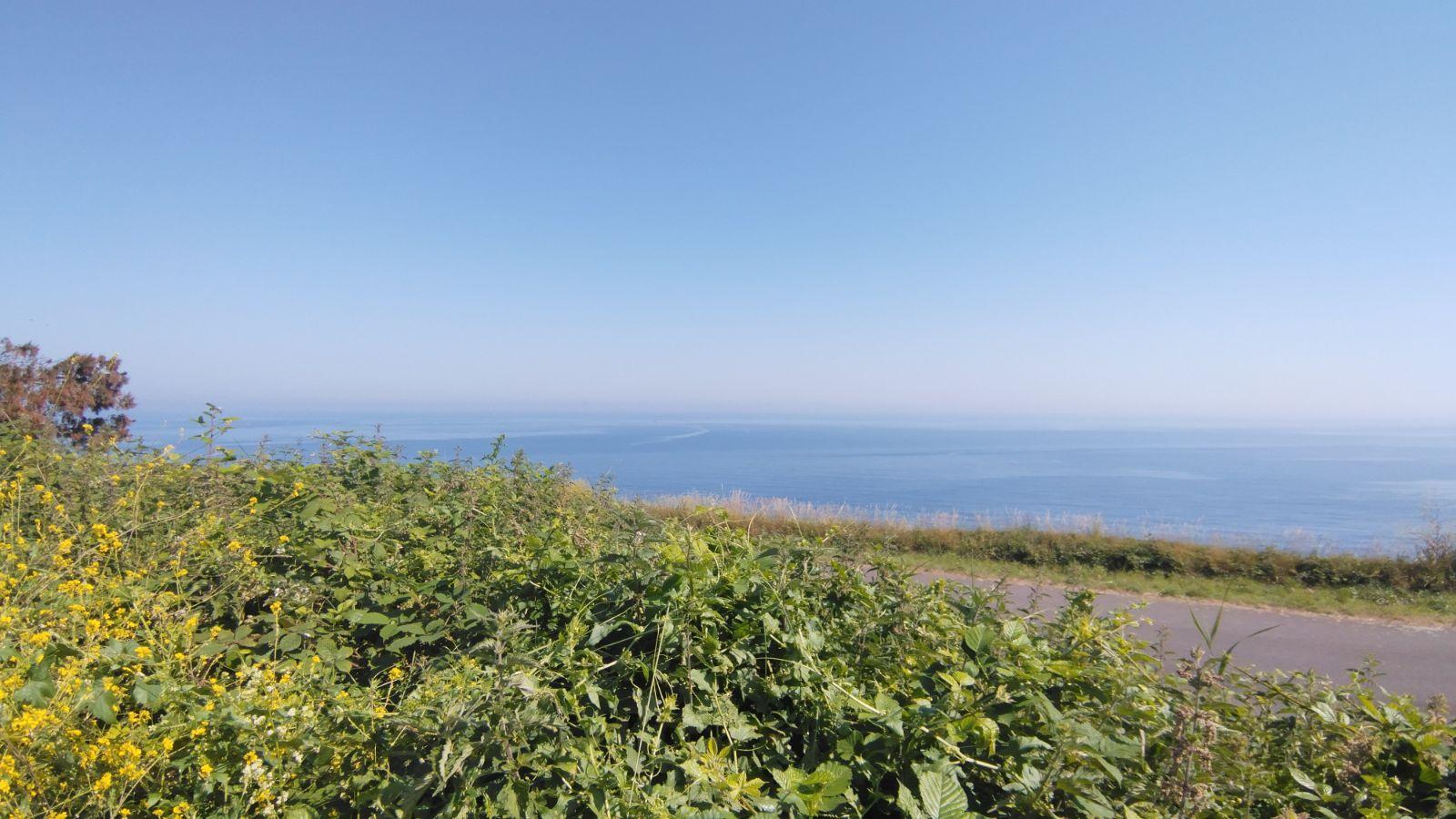 image de bien