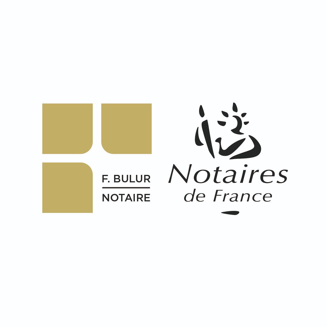 OFFICE NOTARIAL IFS LOGO-4